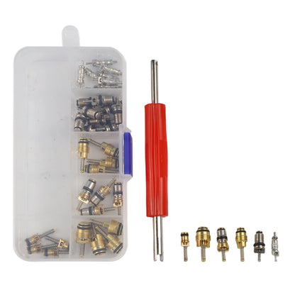 Air Conditioning Valve Core Set for Jetta (R12)