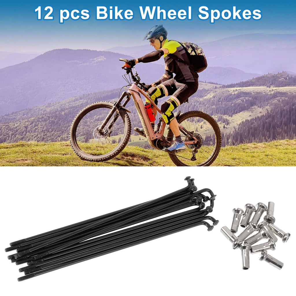 Bicycle Spokes Nipple Set 14G 112mm Stainless Steel for Universal (Universal)
