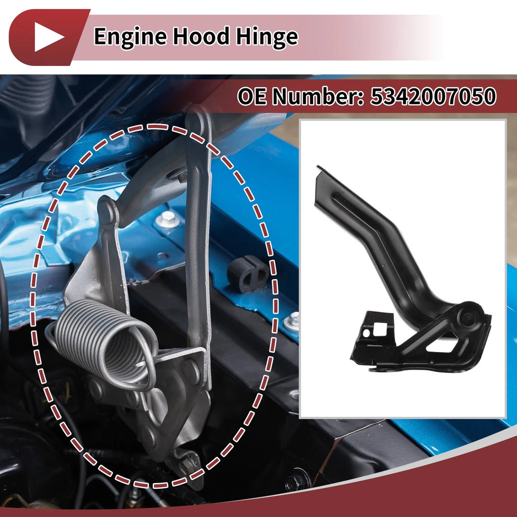 Hood Hinge Left Side OEM Replacement for Toyota Avalon (2018–2024)