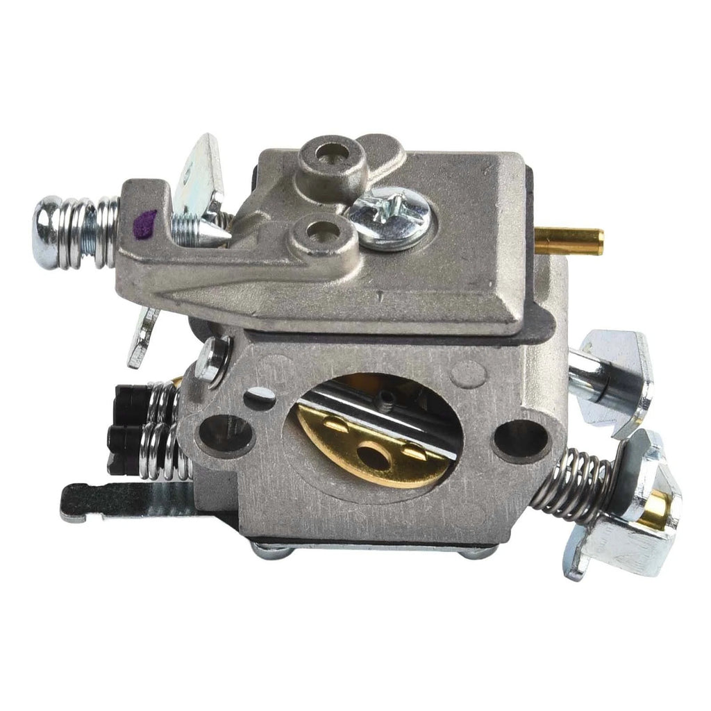 Complete Carburetor Maintenance Kit for W20 WT891