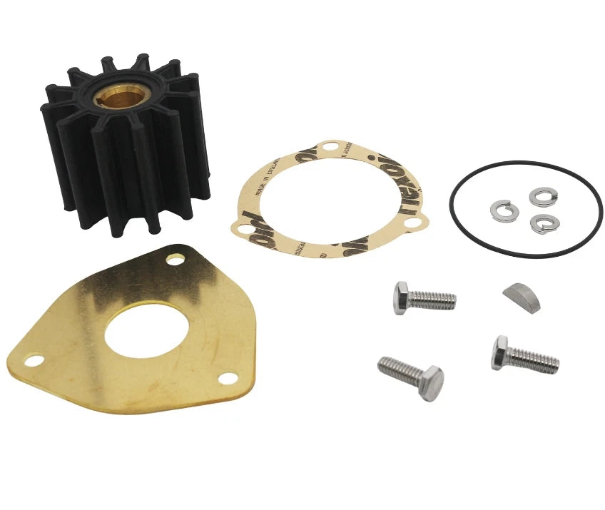 Minor Repair Kit for Sherwood Pump W/04432, 15000, GC1, GC4, GC5, 23981