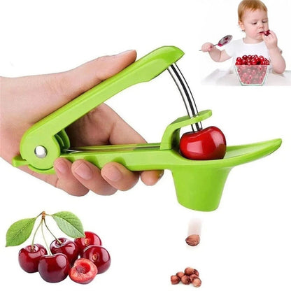Quick Clean Tool Stainless Steel Fruit Pitter for