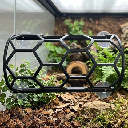 Suction Cup Reptile Shelf for Elevated Rest and Exploration Zones
