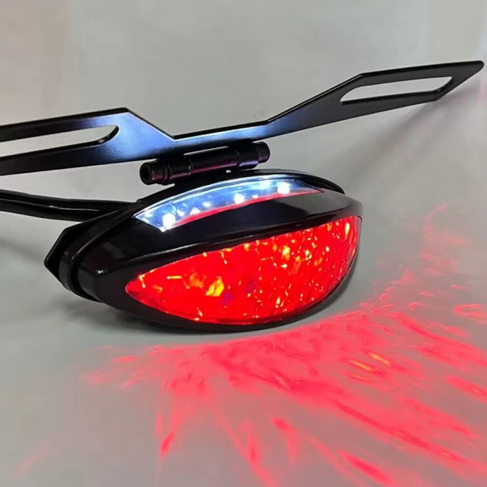 LED License Plate Light for Recreation REG Dirt Bike (2010–2023)