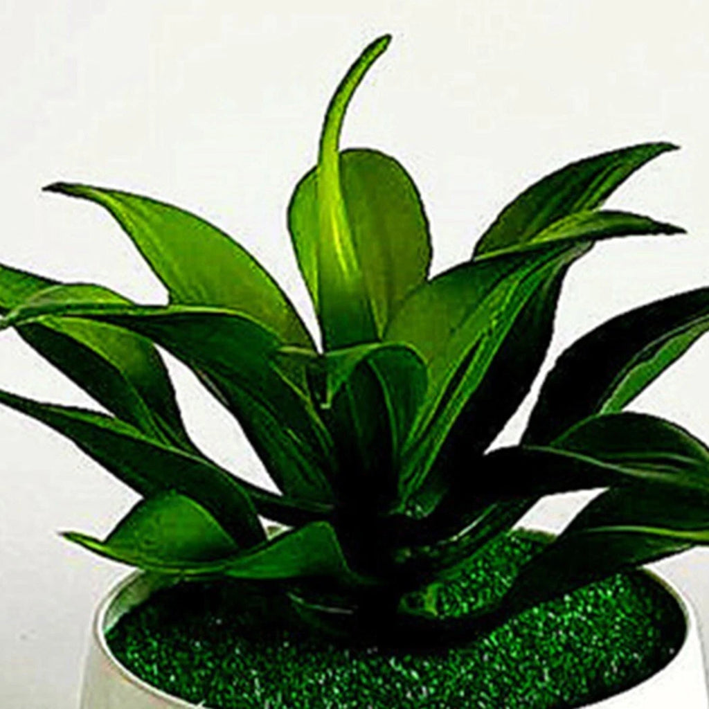 Artificial Potted Succulent Plant for Home Decor