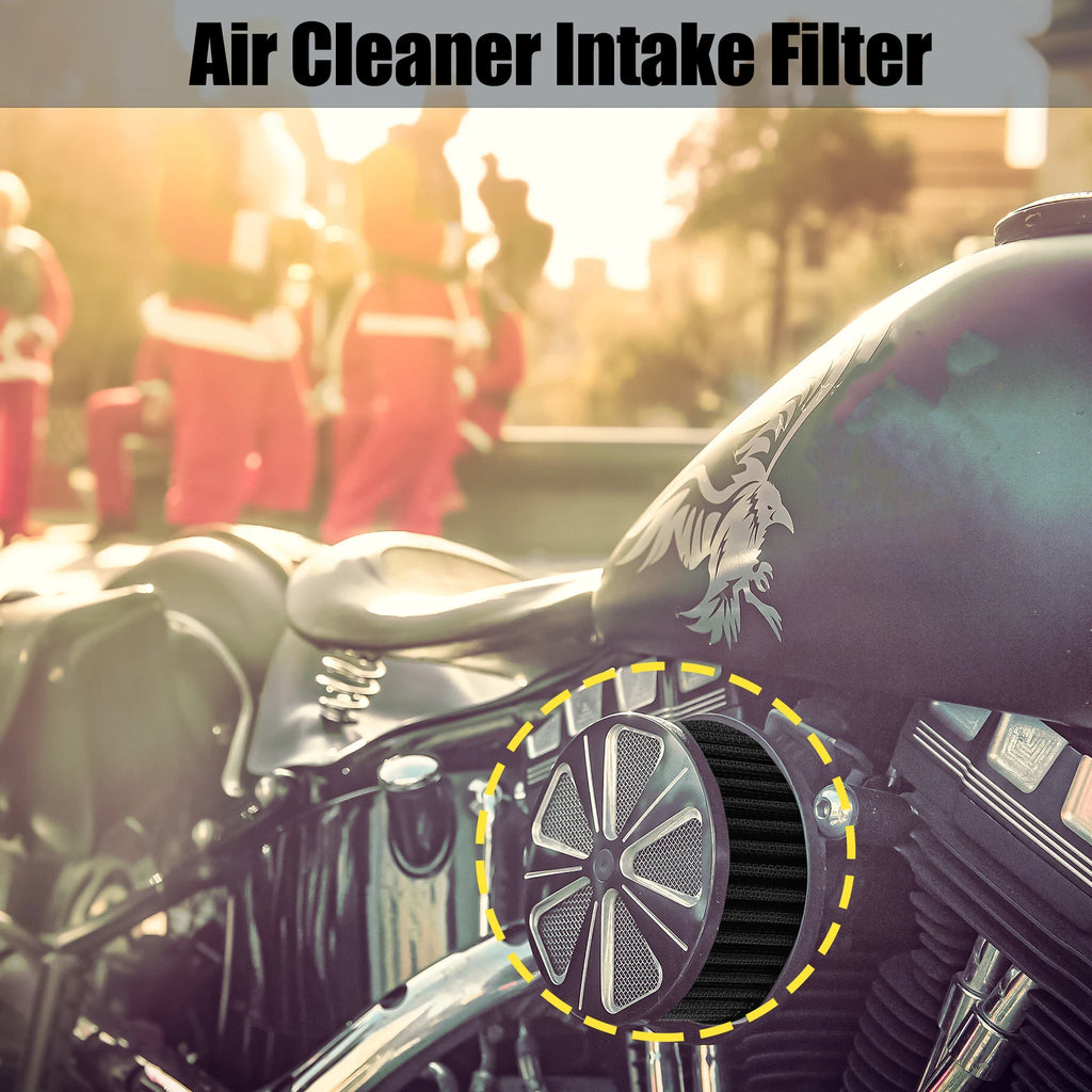Air Filter Cleaner for Harley-Davidson Iron 883 (2009–2015) Black