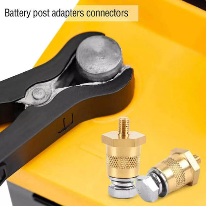 1 Pair Battery Pole Adapter for Universal Applications (M6 Thread)
