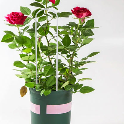 Sleek Design Plant Supports for Houseplants or Gardens