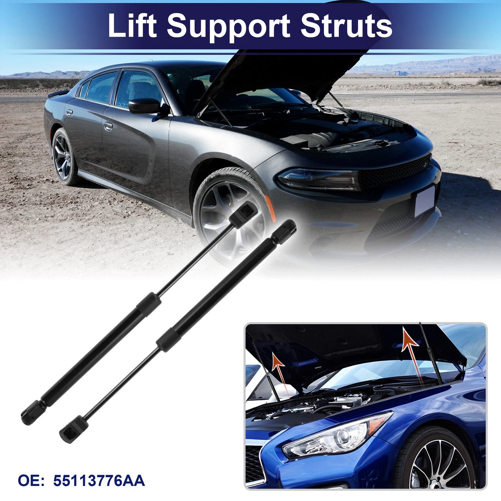 Tailgate Lift Support Struts Gas Spring No. 55113776AA for Chrysler 300 (2005–2010)