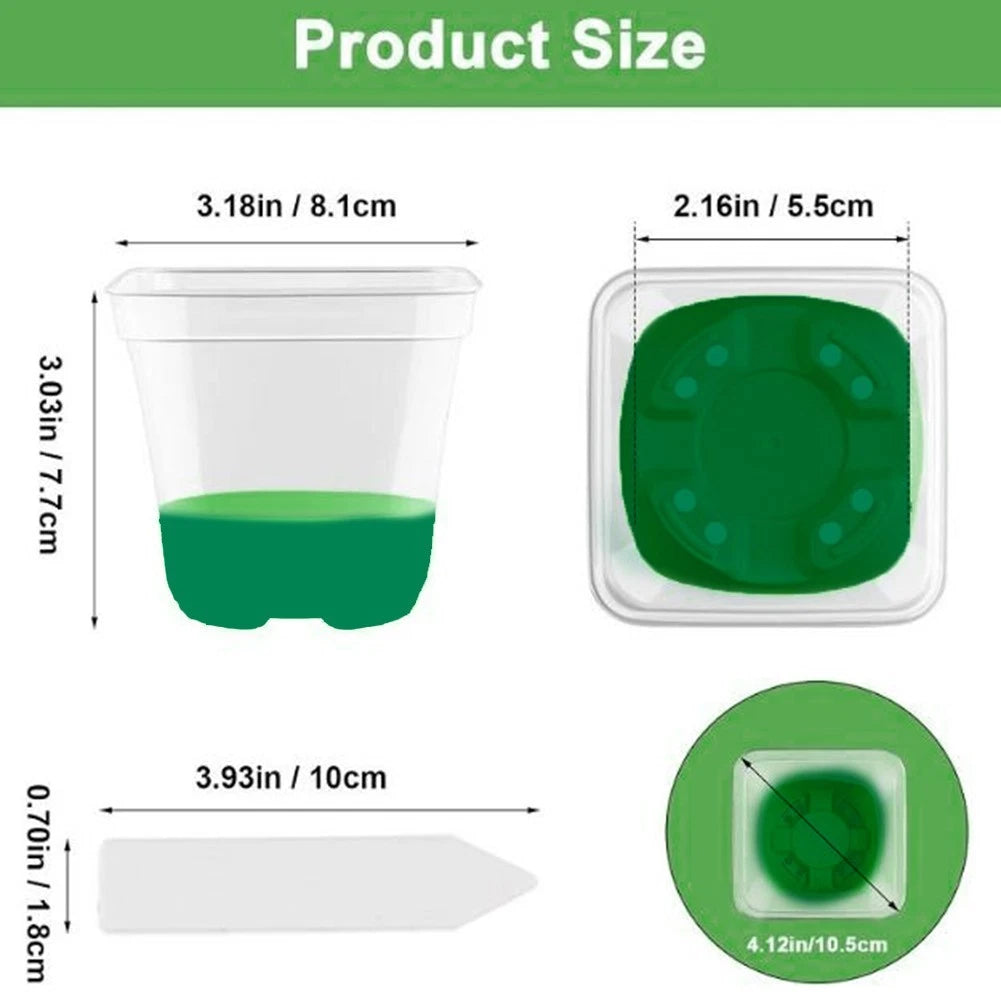 12X Reusable Clear Plant Pots with Drain Holes and Labels
