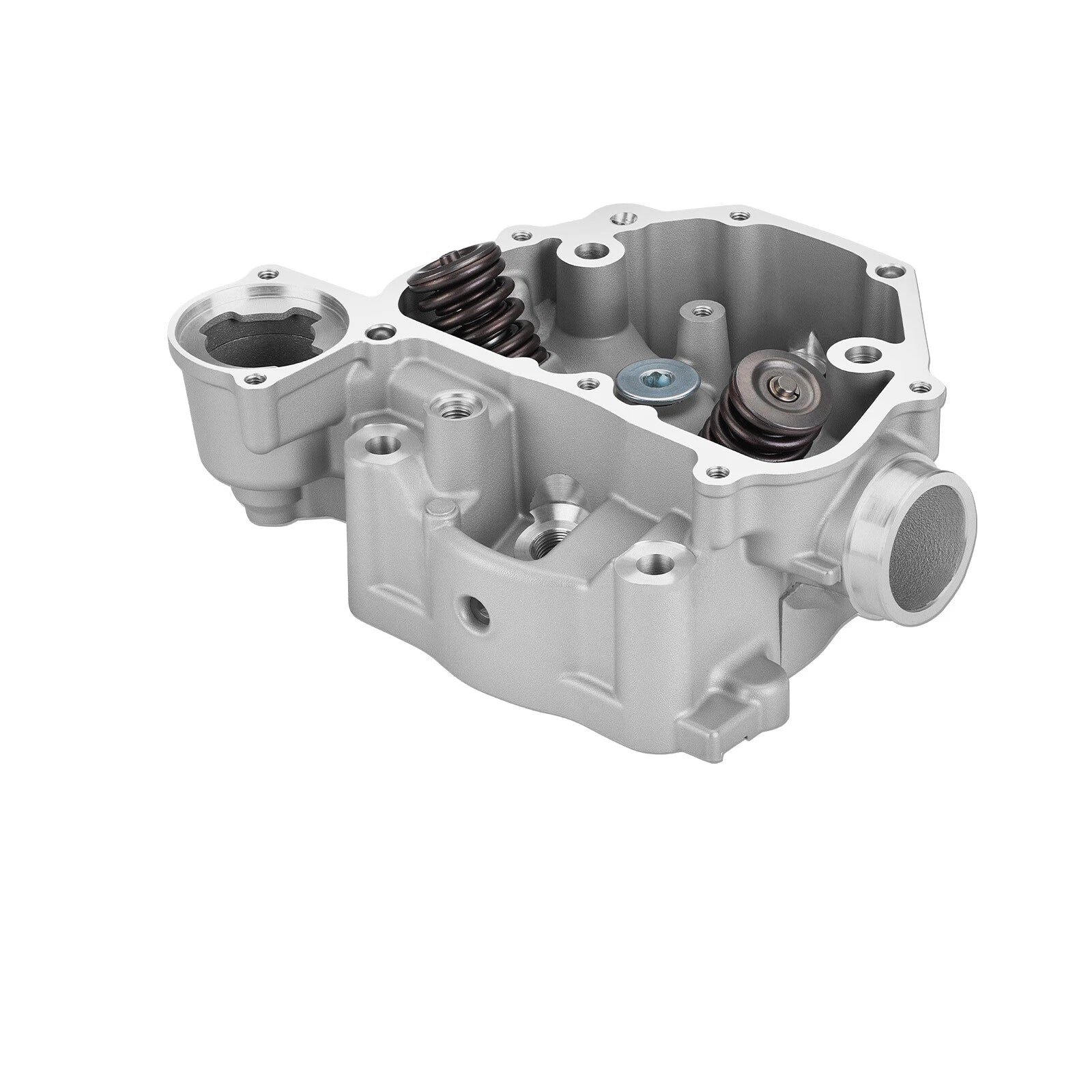 Cylinder Head Valves Kit for Honda Pioneer 500 SXS500 (2015–2023) 12200-HP7-A01
