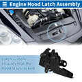 Hood Latch Assembly Replacement for Toyota Tundra (2000–2006)