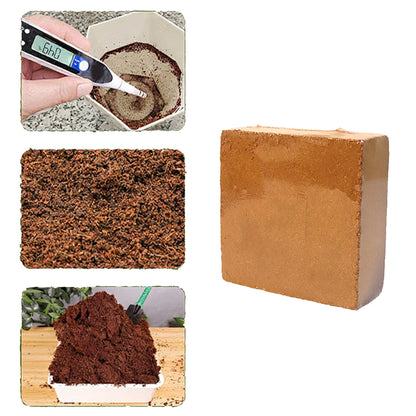 Coconut Coir Brick Potting Medium for Healthy Root Development (10x10x4cm)