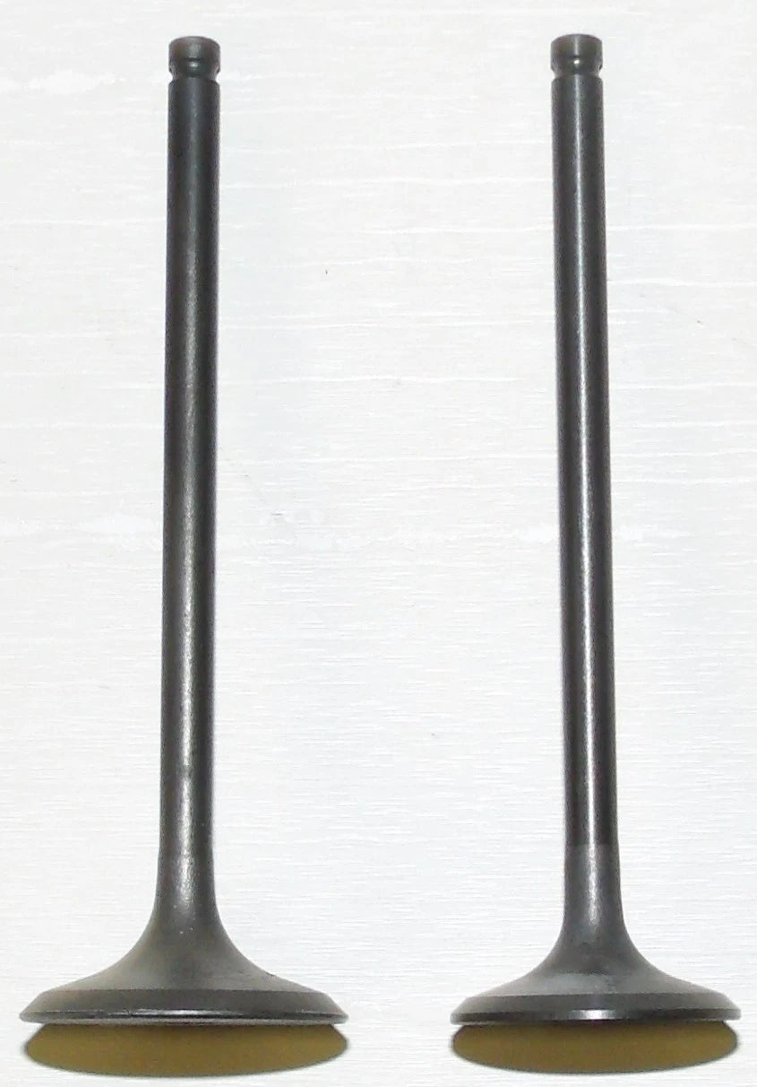 WSM 400-500 Engine Valve Kit for (1998–2009) 017-207