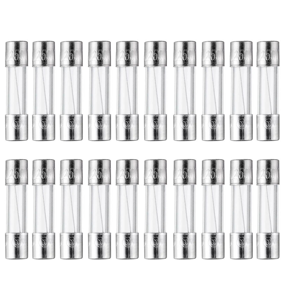 20Pcs Fuse for Pit Boss Traeger Camp Chef Green Mountain Grill (5A 250V)