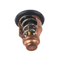 Thermostat for Yamaha F115 LF115 VF115 F130 LF130 (2000–2023) 6EK-12411-00