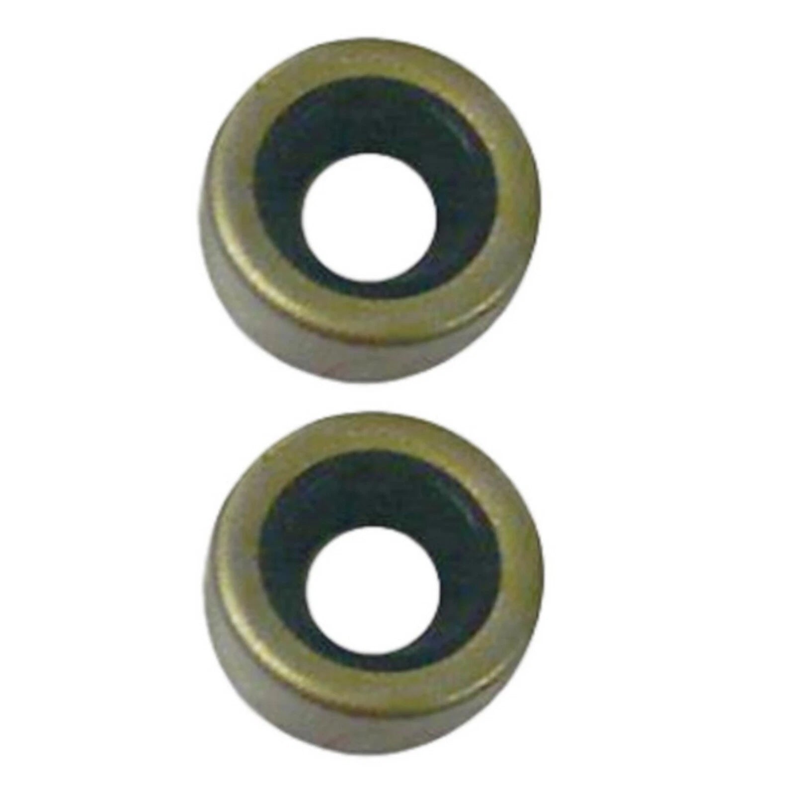 2X Shaft Oil Seal for Johnson Evinrude (RO: 327031, 0300599, 802292, 30900T)