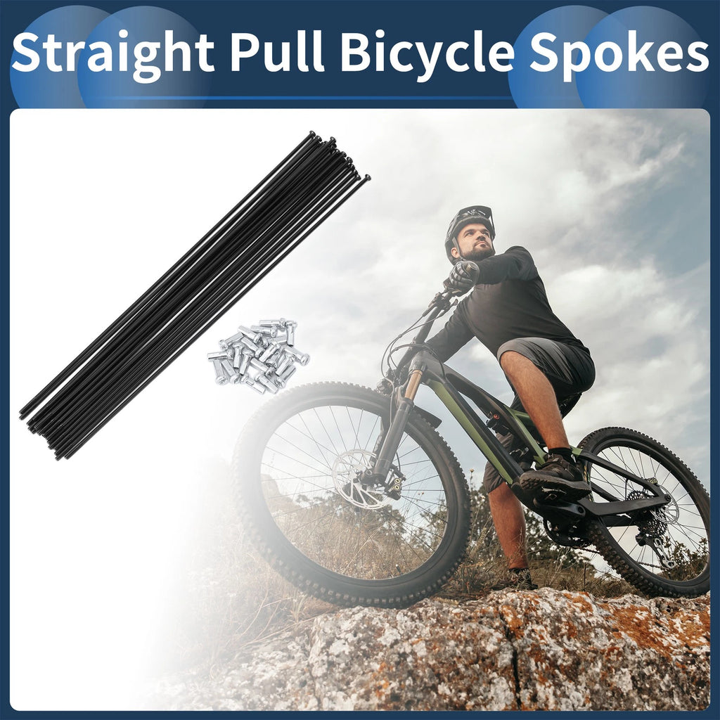 Set 14G Straight Pull Spokes 210mm for Bicycle Wheel (210mm) (2000–2025)
