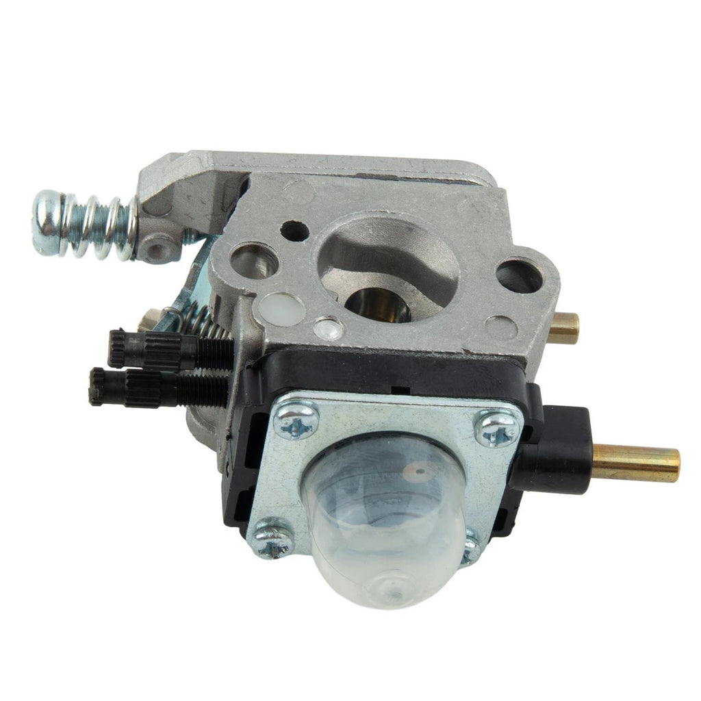 Carburetor Fuel Filter & Lines Set for