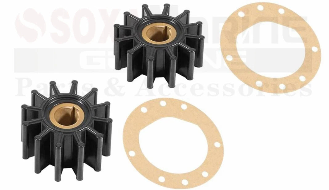 Dual Impeller Pump Repair Kit for Sherwood D55 D-55