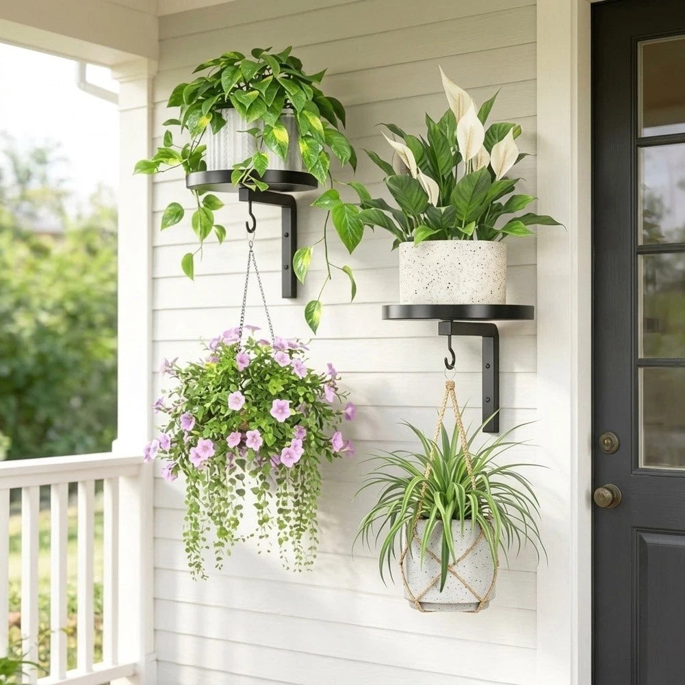 Wall Plant Shelf with Hook for Vertical Garden Display