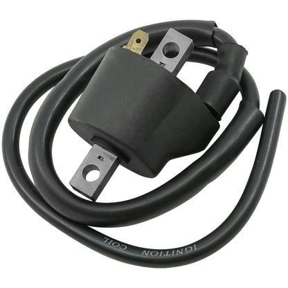 Ignition Coil Replacement for Honda Fourtrax Foreman 500 TRX500TM (2005–2006)