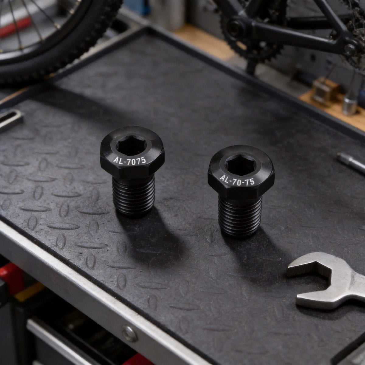 2X Rear Derailleur Hanger Screws for m10 P1 0