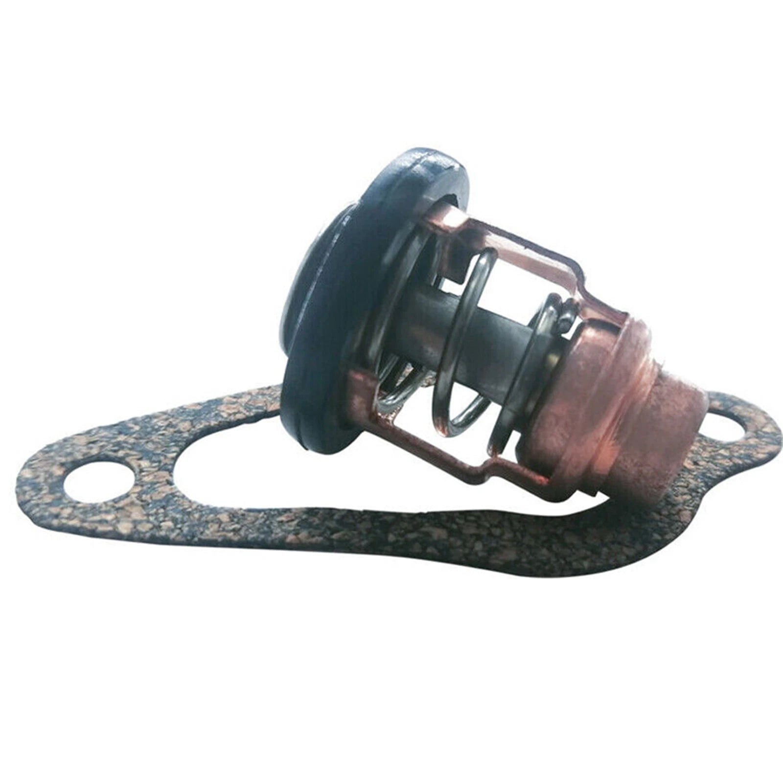 Thermostat Kit for Nissan Tohatsu Outboard MFS 8-30HP (2/4T) 3R3-01030 3NV010300M
