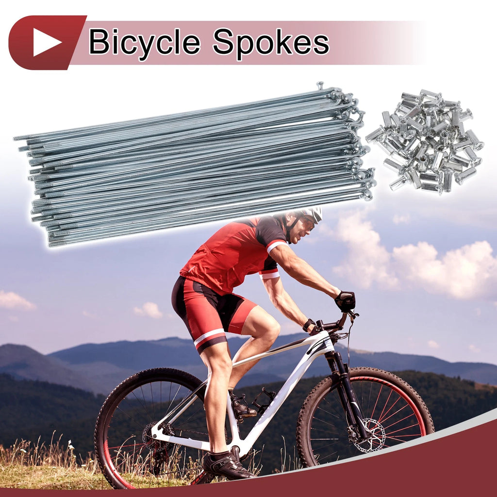 Bicycle Spokes Set 200mm Carbon Steel Galvanized for 10G Wheels (200mm)