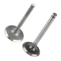 Intake Exhaust Valve Kit Replacement for John Deere 425 445 455 (For 1983–1990)