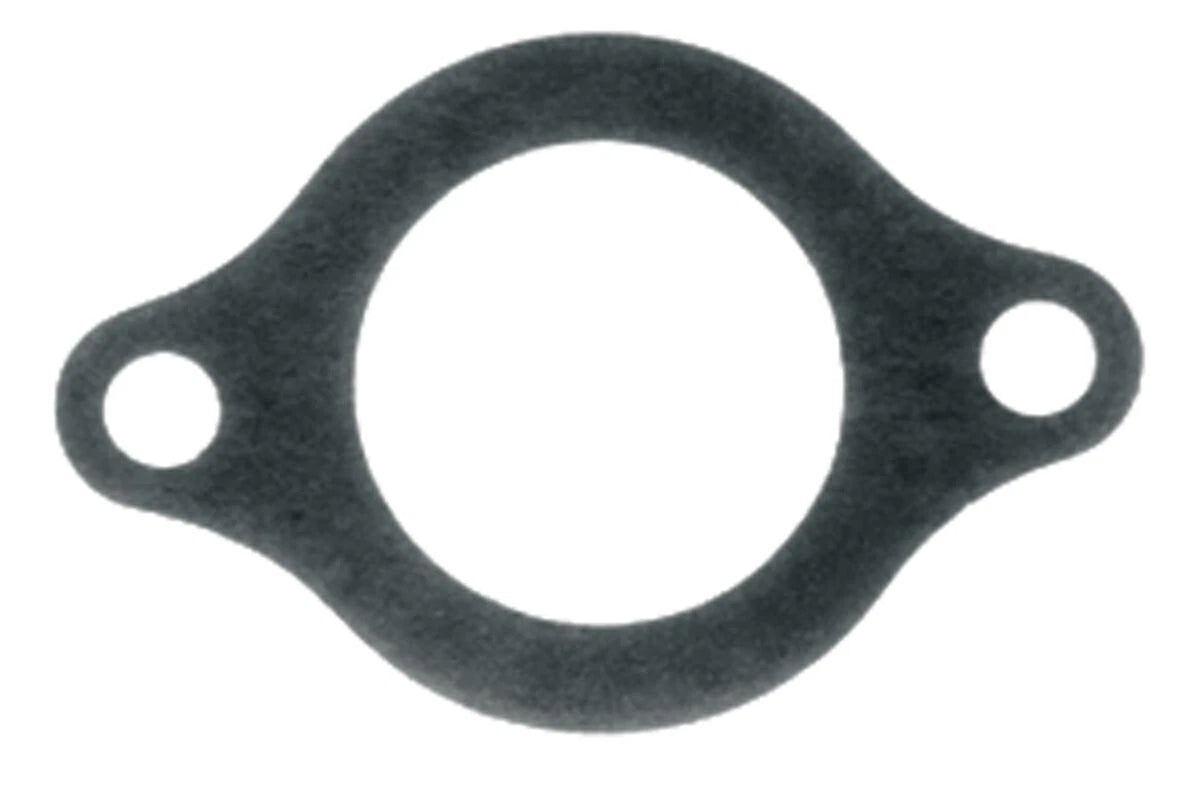 WSM Gasket for