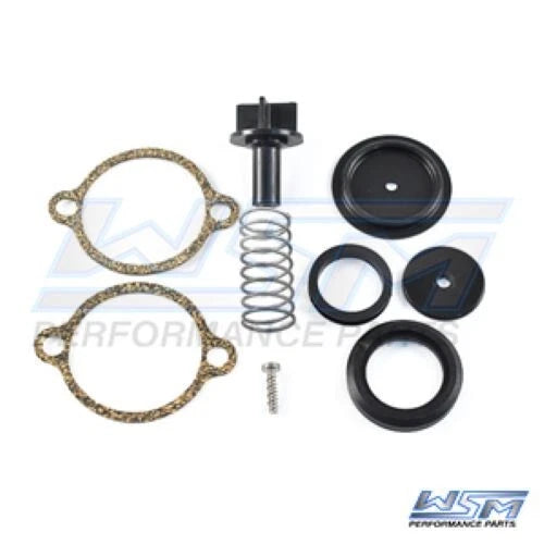 WSM Poppet Valve Kit for Mercury 3.0 Liter V6 (1996–2006) 785-110