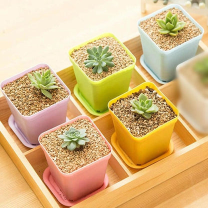 15pcs Small Flowerpots with Tray for Home Office
