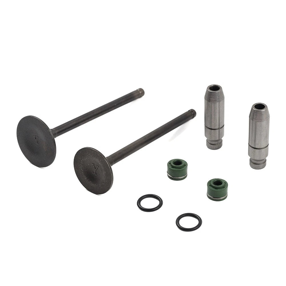Intake Exhaust Valve Stem Guide Seal for Suzuki DR125 DRZ125 DF125 (2000–2023)