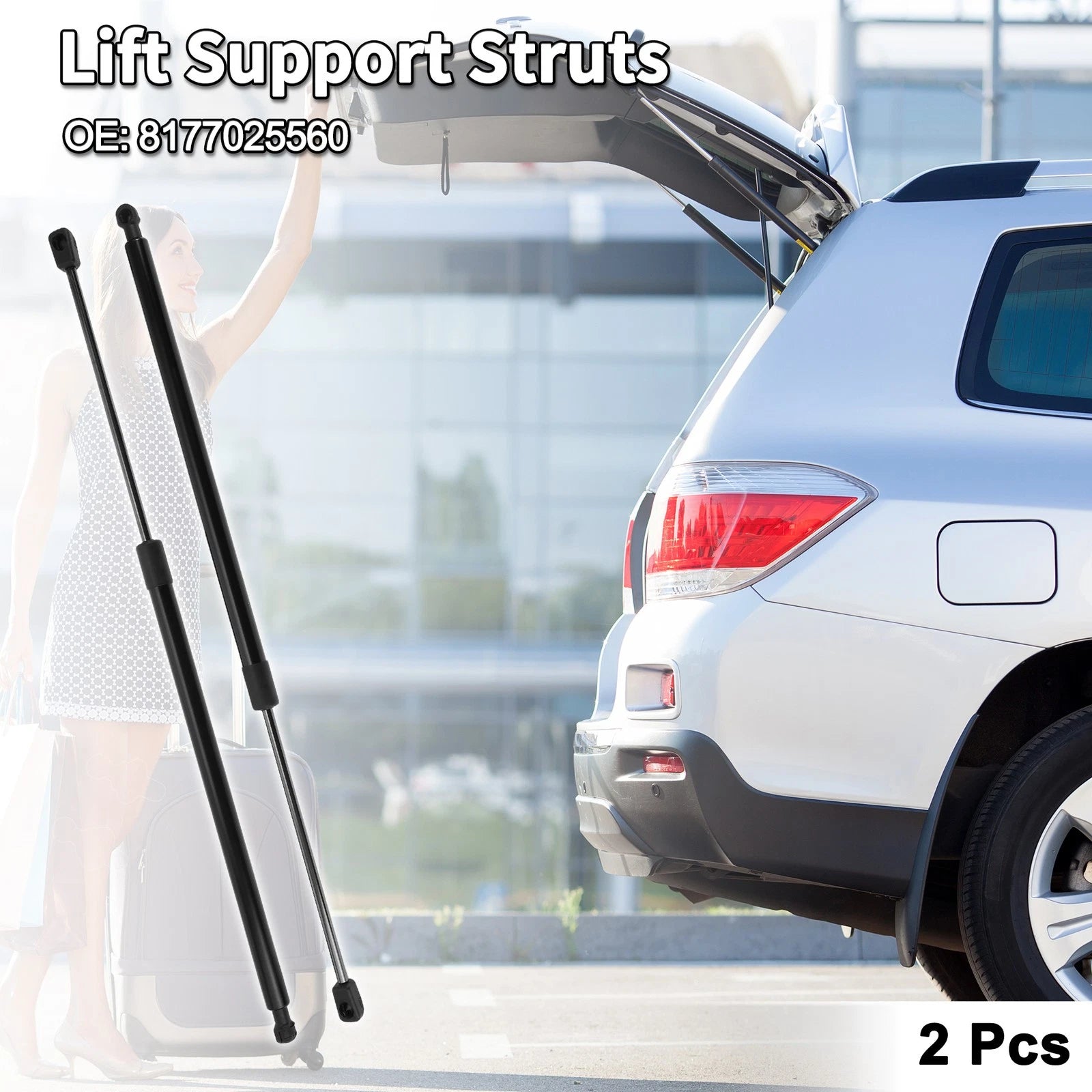 Rear Hatch Lift Supports Struts Replacement for Hyundai Accent Hatchback (2003–2005)