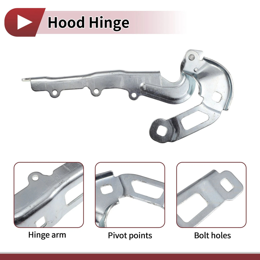 Hood Hinge for Ford Focus (2019–2023) Left Side, 1 pcs