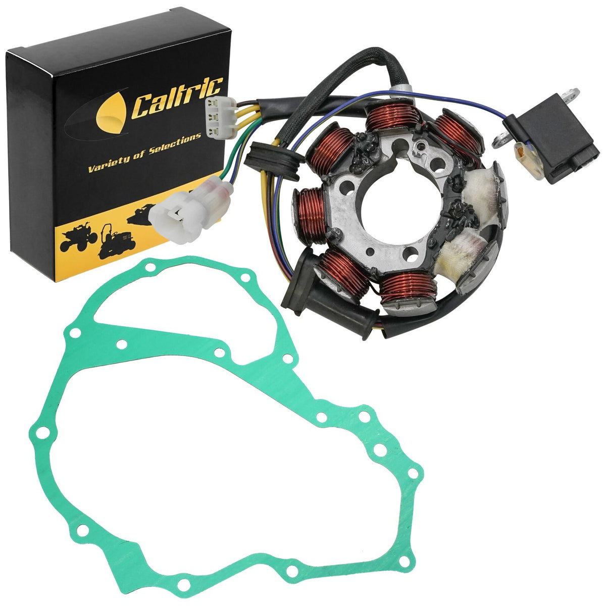 Stator and Gasket Replacement for Honda TRX250EX Sportrax 2003–2008