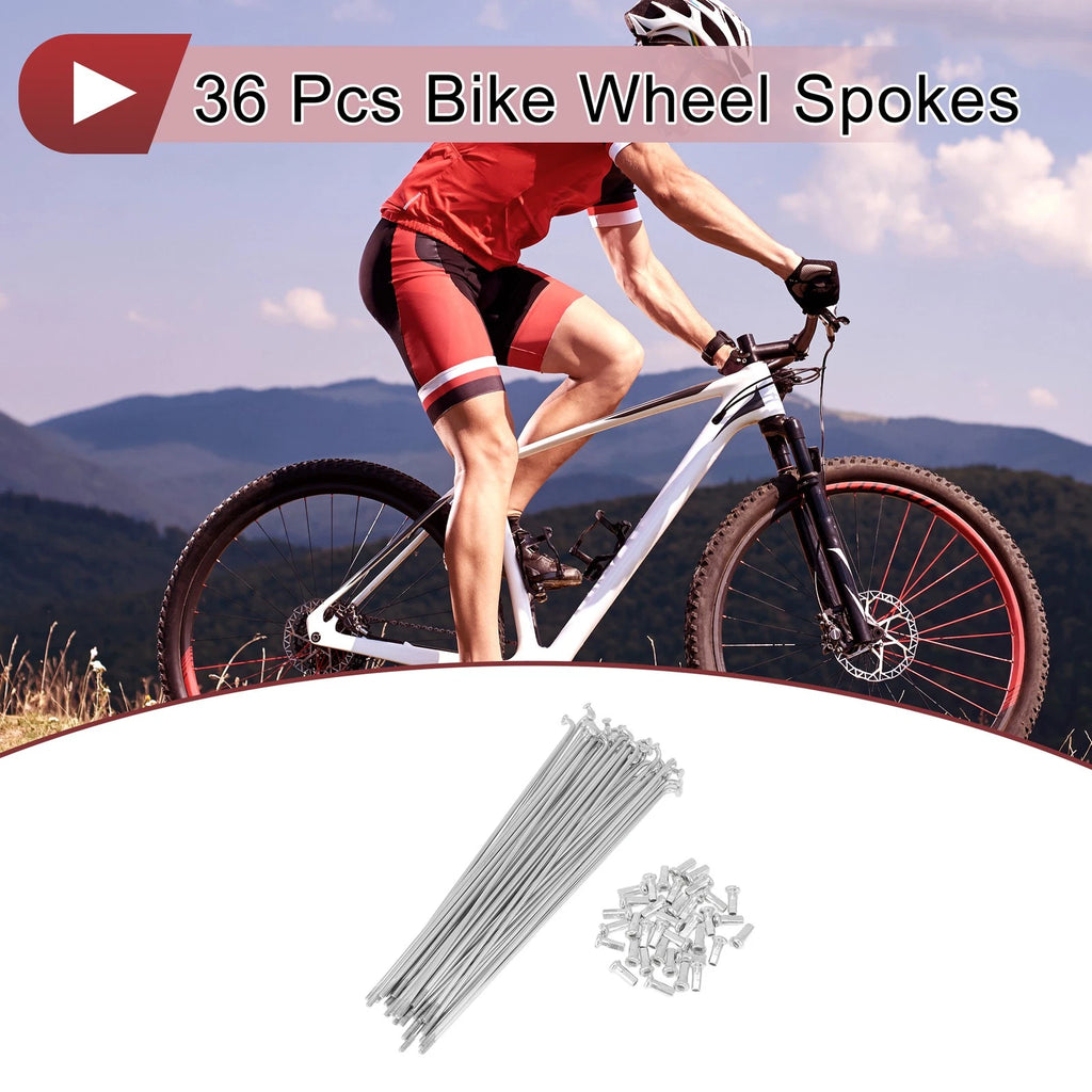 Bicycle Spokes 173mm Steel Galvanized Replacement for 12G Wheel (36 Pack)
