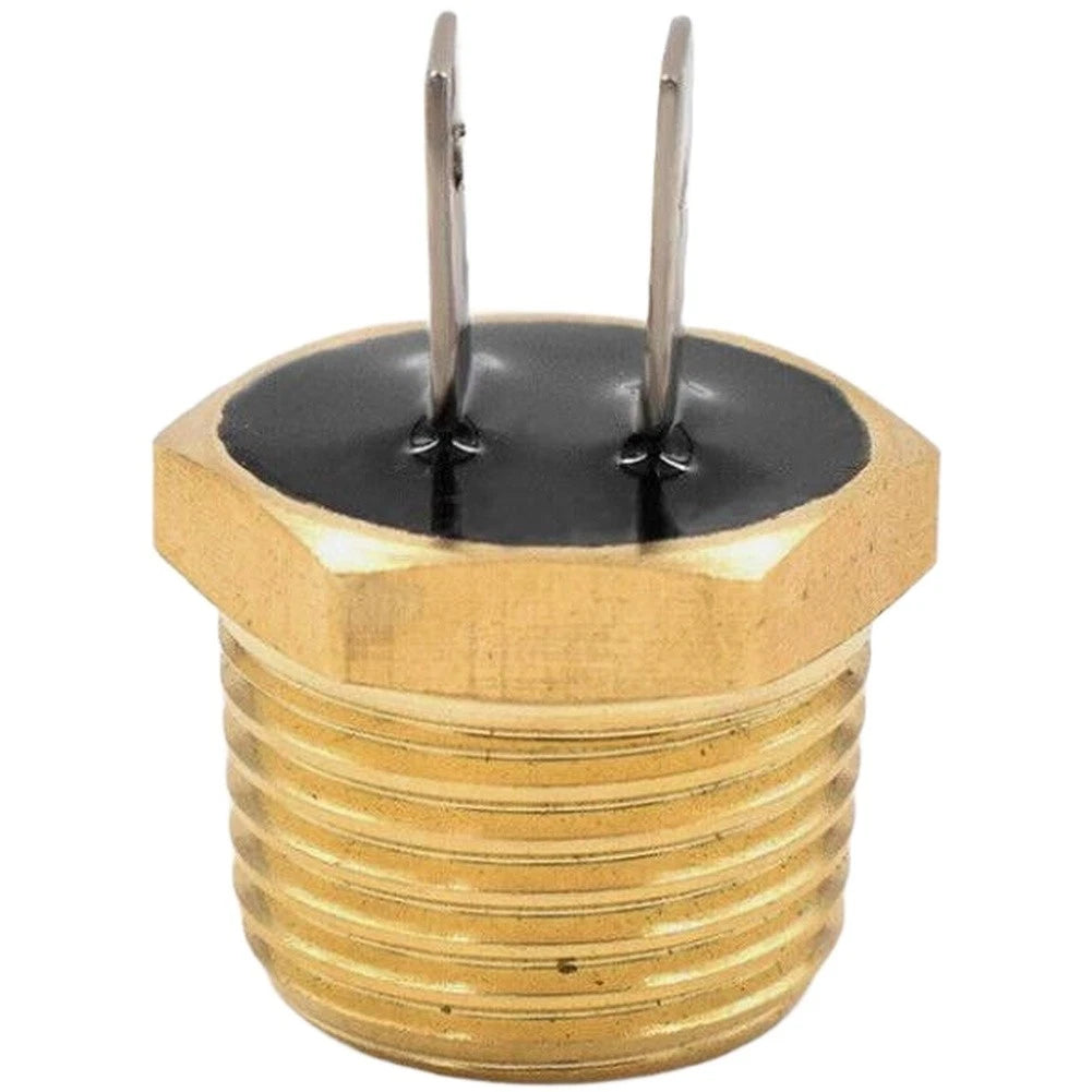 Fuel Injection Temperature Switch for Ford F Series (E8TZ9E939A)
