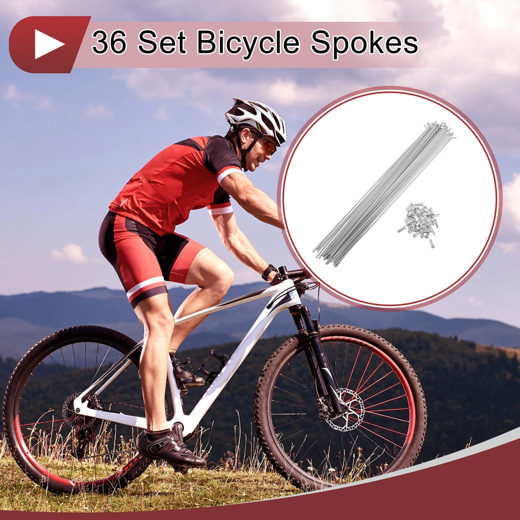Bicycle Spoke Set 255 mm Steel Galvanized for Universal (All Models)