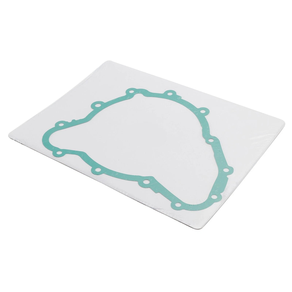 Alternator Stator Cover Gasket for Tiger 900 (2020–2022)