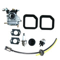Carburetor Kit for