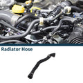 Radiator Hose for Audi A8 2012–2014 Replacement Replacement Hose