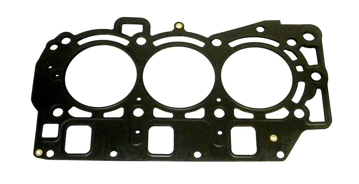 WSM Gasket for