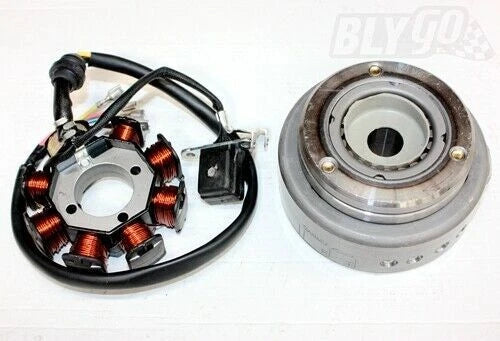 8 Poles Magneto Stator Roller Flywheel for 200cc 250cc Engine PIT Quad ATV