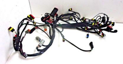 Evinrude Etec Engine Wiring Harness Assy 0587010 AA AB for 135-200hp 2-Stroke (2000–2023)