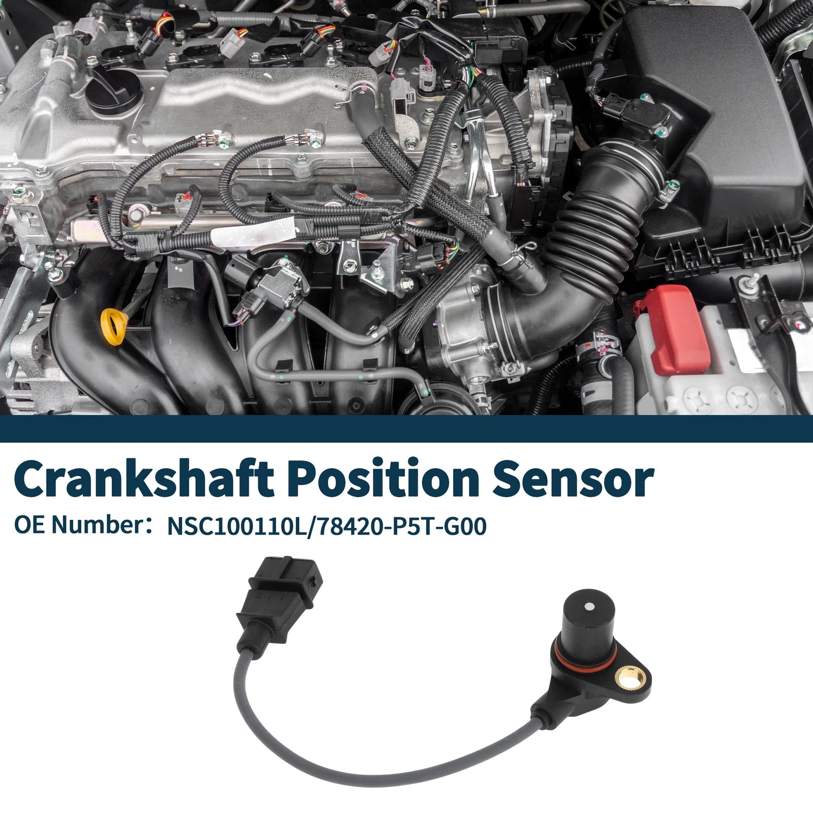Crankshaft Position Sensor for Honda Accord 2.0 Turbo 99–02