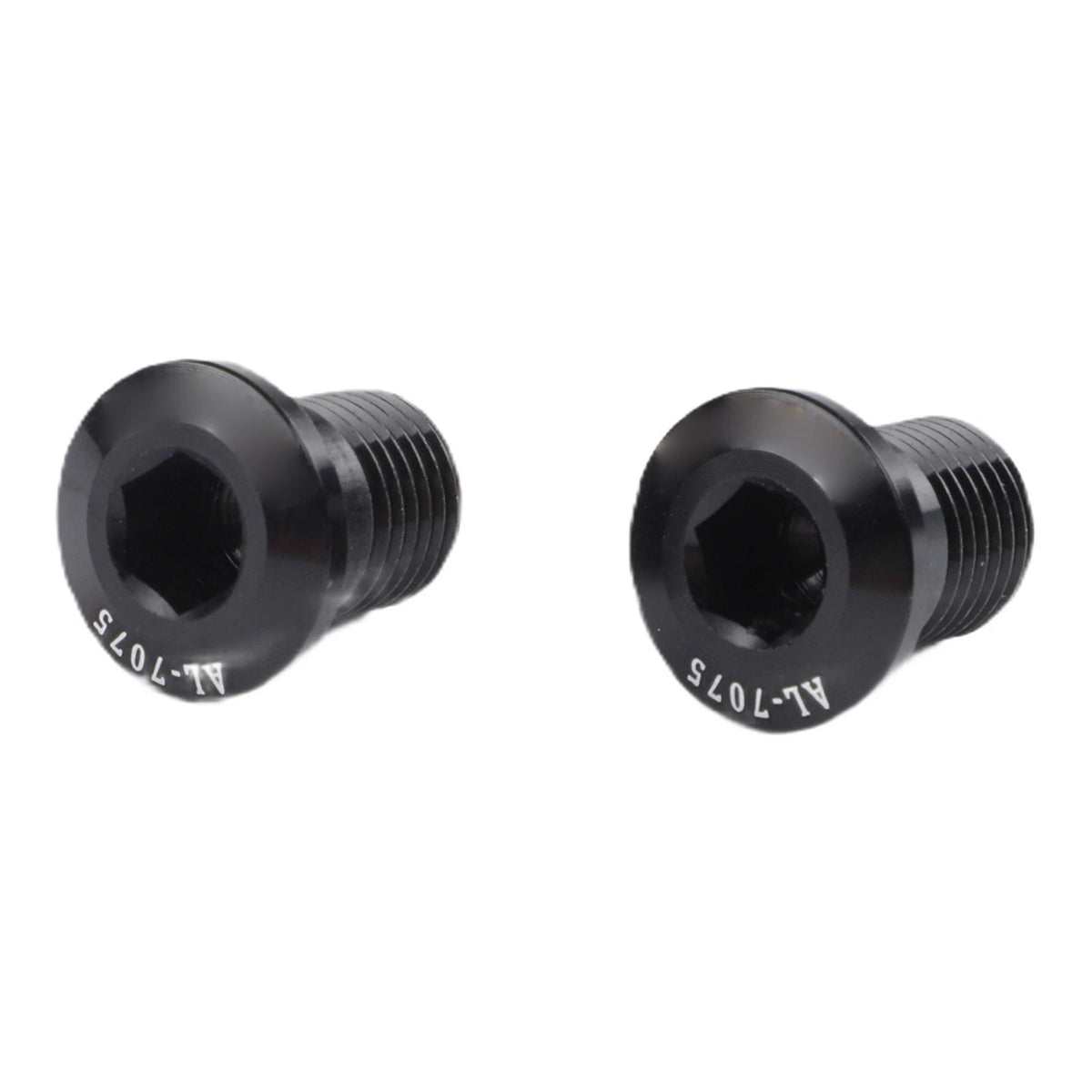 2X Rear Derailleur Hanger Screws for m10 P1 0
