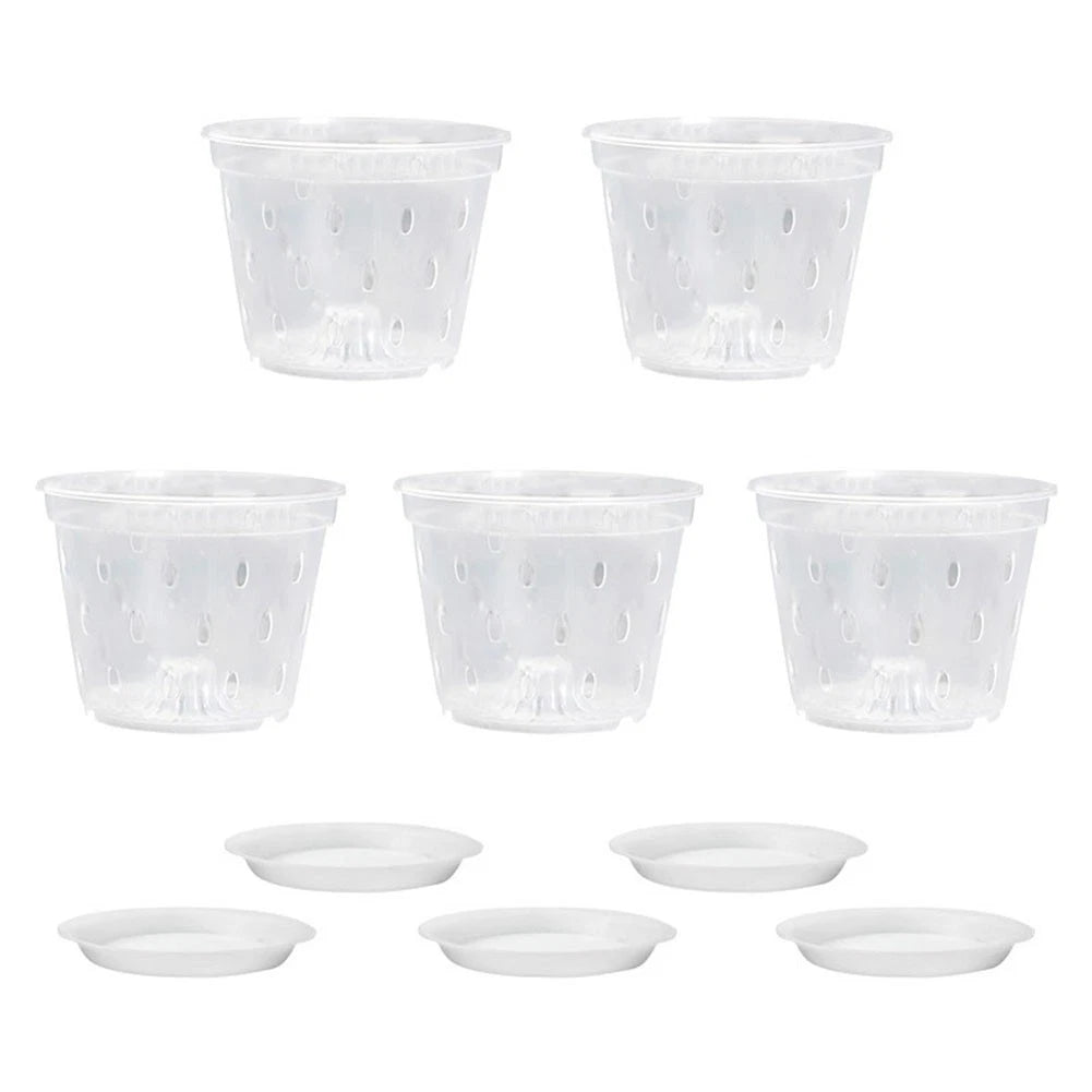 Clear Plastic Orchid Planters for Effective Drainage