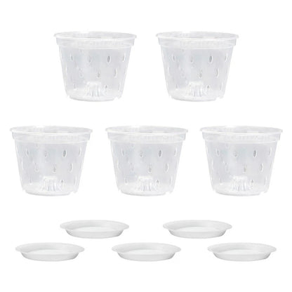Clear Plastic Orchid Planters for Effective Drainage